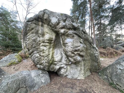 Image of Magifix (assis) (7a)